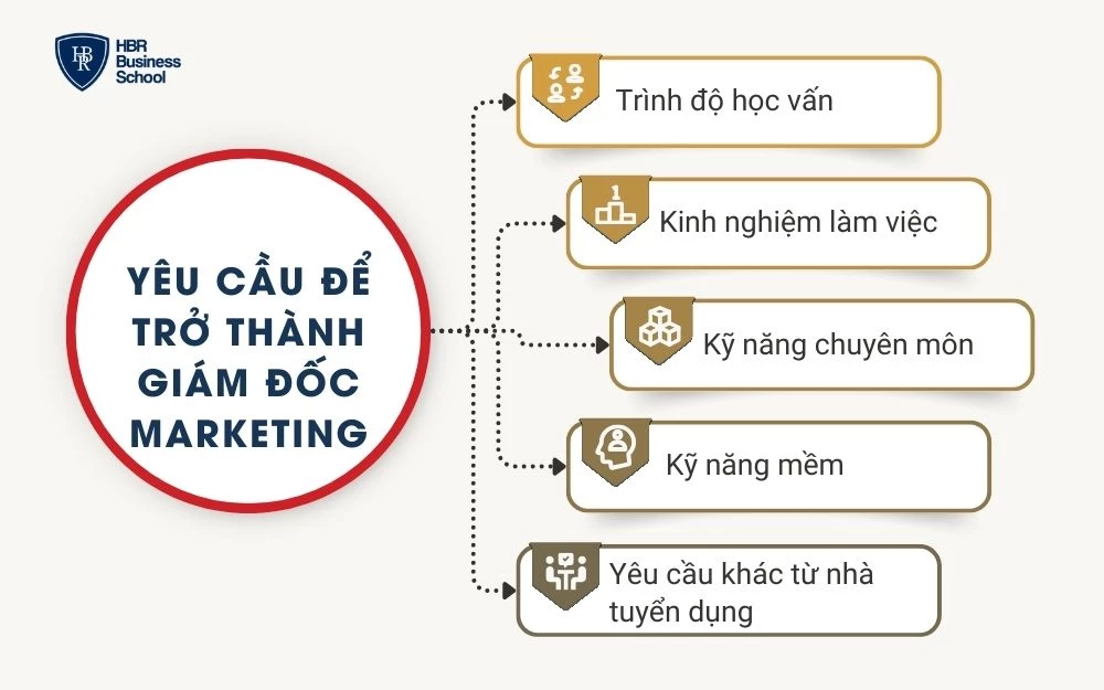 CMO cần sở hữu bộ kỹ năng, học vấn và kinh nghiệm để đảm nhiệm những công việc quan trọng