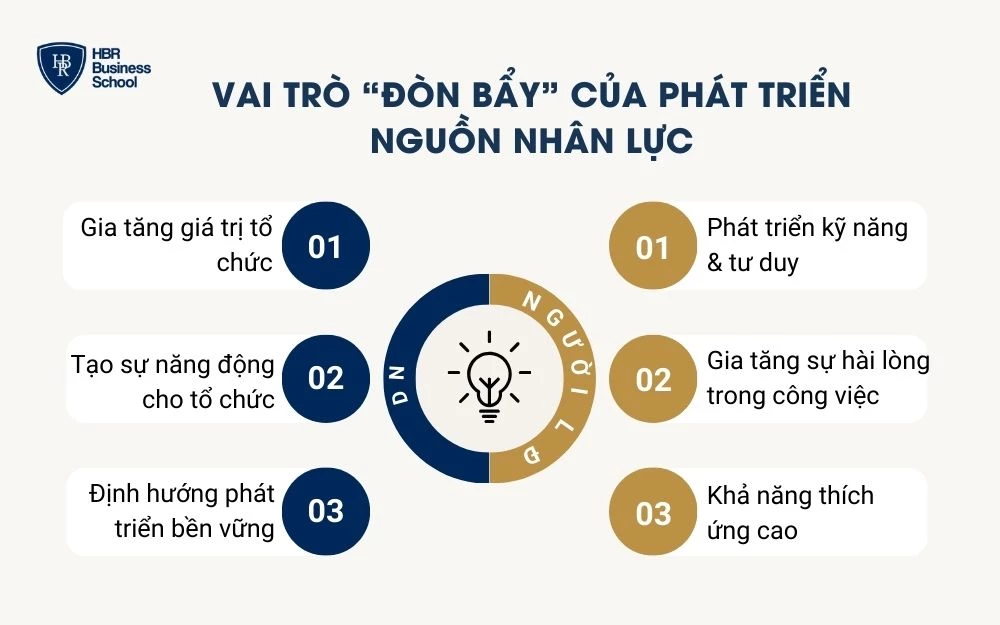 Phát triển nguồn nhân lực là đòn bẩy chiến lược giúp doanh nghiệp gia tăng hiệu quả
