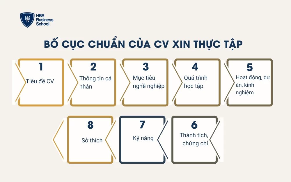 Bố cục 8 phần của CV xin thực tập đạt tiêu chuẩn