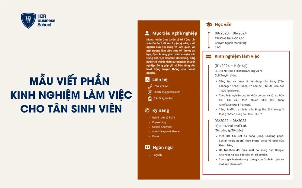 Gợi ý cách trình bày phần Kinh nghiệm làm việc dành cho tân sinh viên