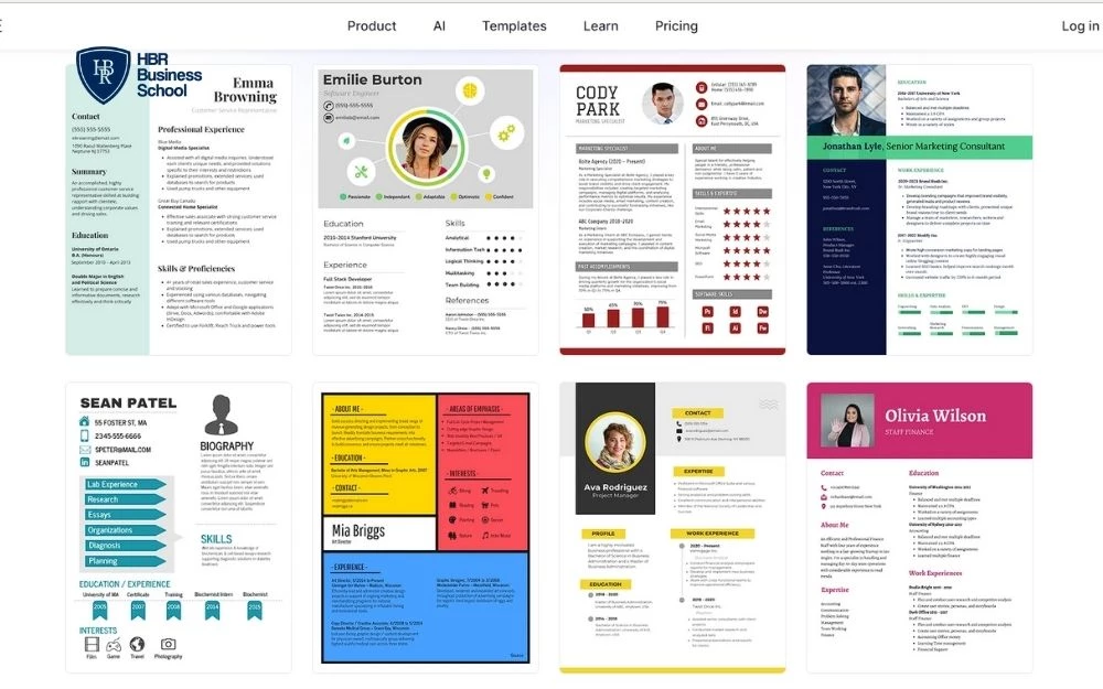 Mẫu CV Venngage nổi bật với thiết kế độc đáo và biểu đồ sinh động