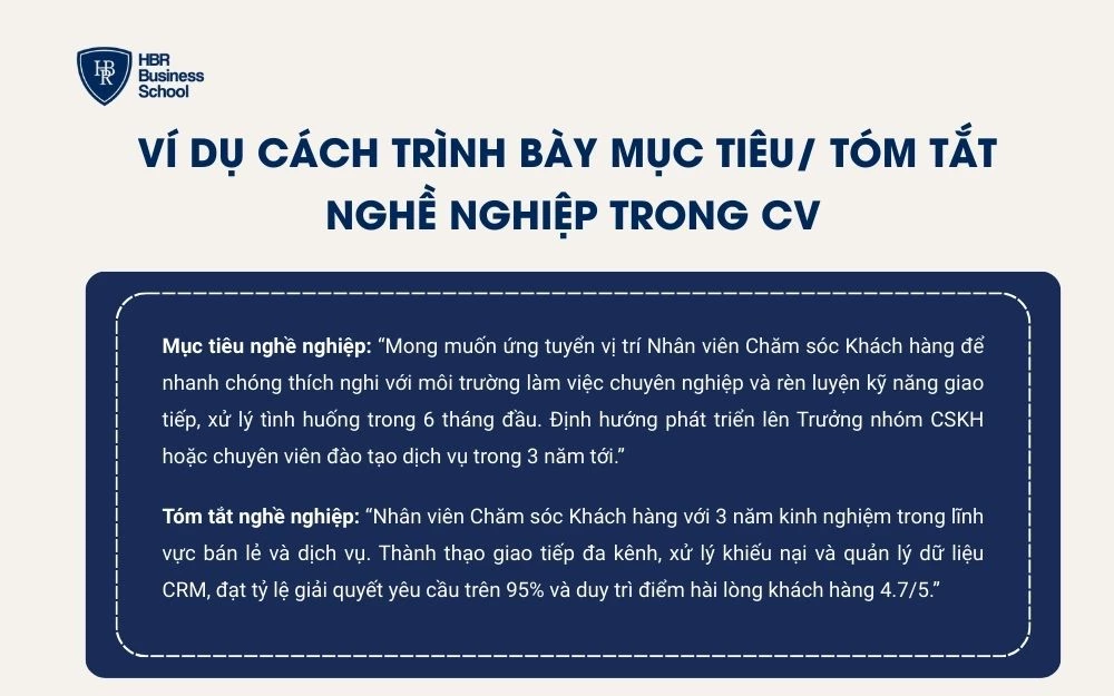 Mẫu trình bày mục tiêu/tóm tắt nghề nghiệp ngắn gọn trong CV