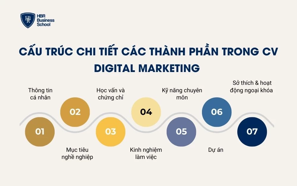 Cấu trúc chi tiết trong CV Digital Marketing