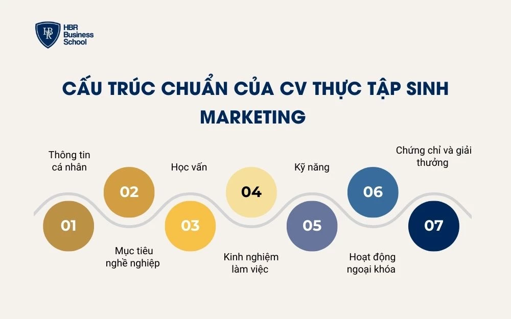 Cấu trúc 7 phần của CV Thực tập sinh Marketing
