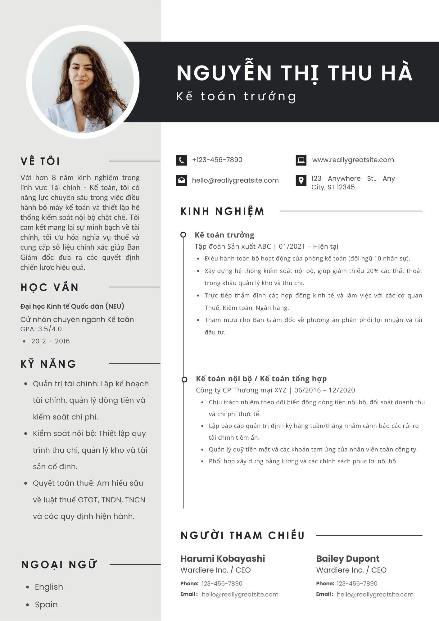 Mẫu CV kế toán trưởng / kế toán nội bộ