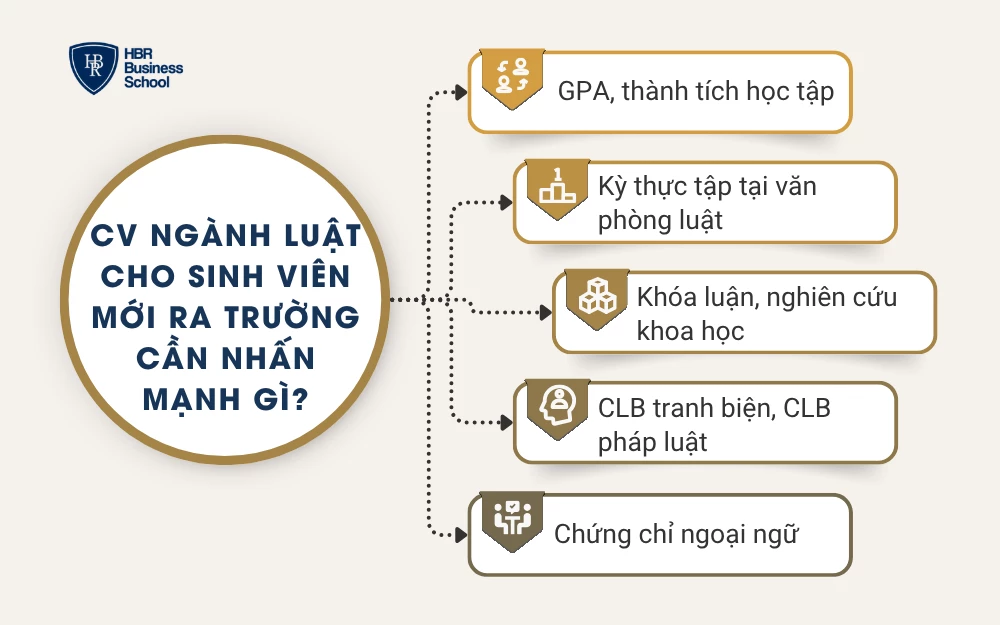 CV ngành luật cho sinh viên mới ra trường cần nhấn mạnh gì?
