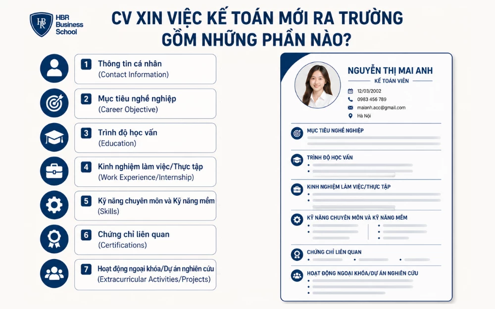 CV xin việc kế toán mới ra trường gồm 7 phần quan trọng