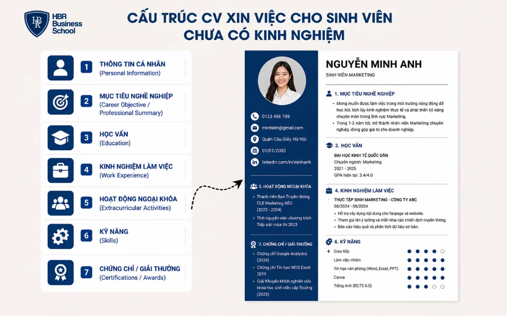 Cấu trúc CV xin việc cho sinh viên chưa có kinh nghiệm