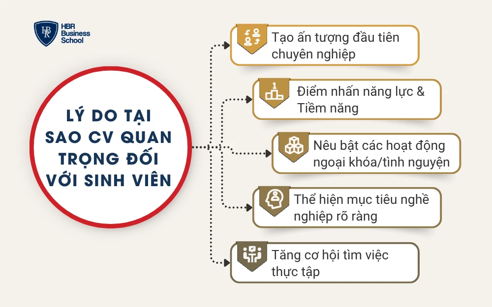 Lý do tại sao CV quan trọng đối với sinh viên