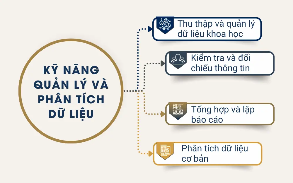 Kỹ năng quản lý và phân tích dữ liệu